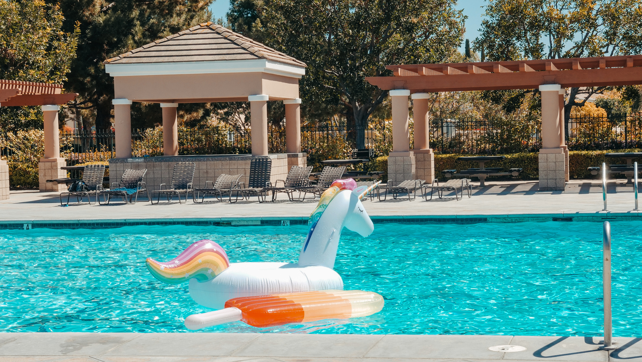 White and Orange Inflatable Swan on Swimming Pool